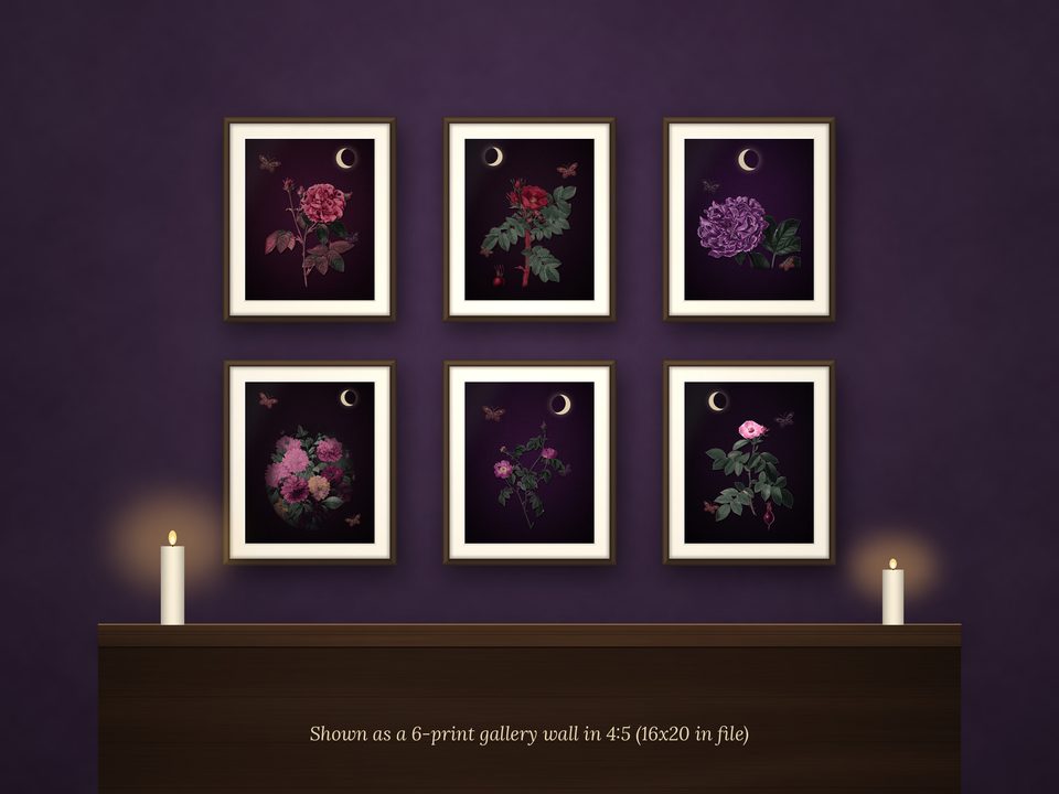 Redouté Gothic Rose Wall Art: gallery wall all six designs
